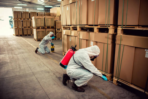 Best Local Pest Control Services  in Drew, MS