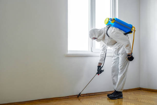 Best Bed Bug Extermination  in Drew, MS