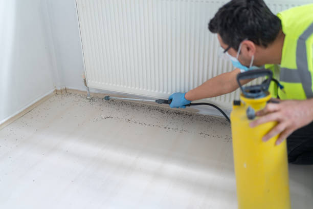 Best Termite Control Services  in Drew, MS
