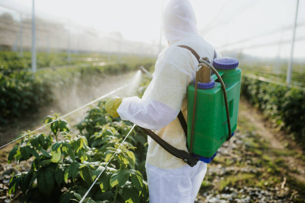 Best Emergency Pest Control  in Drew, MS